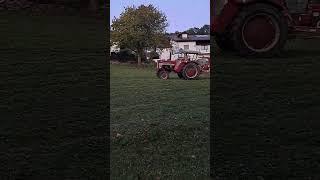 Schwadern mit IHC 423, KUHN Schwader, IHC 633, Busatis 1102 | NB Agrarvideos