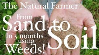 Fix Sandy Soil Using Weeds - John Kaisner The Natural Farmer