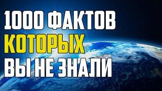 1000 НЕВЕРОЯТНЫХ ФАКТОВ, КОТОРЫЕ ВЫ НЕ ЗНАЛИ