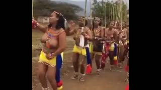 Africa Culture: Sunday delight from South African women (Video)