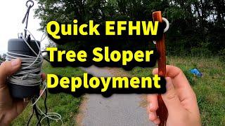 EFHW Tree Sloper Deployment -  Chamelon EMCOMM-II