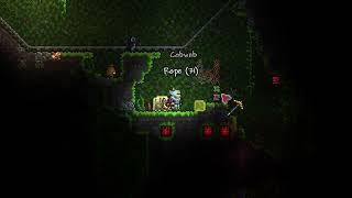 That's why I love Terraria