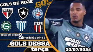 todos os gols dessa terça 30/07/2024. gols de hoje, gols do dia, gols da rodada, brasileirão