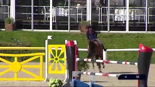 9 yo stallion, jumps Nations Cup