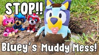 ️ Stop Baby Bluey from Making a Muddy Mess!   Paw Patrol to the Rescue?