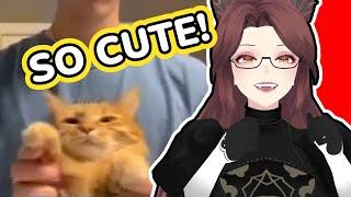 Such A Cute Kitty!~ | Saeko Reacts To Unusual Memes V274