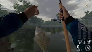 Fishing Planet Guide: Tips on Setting the Hook