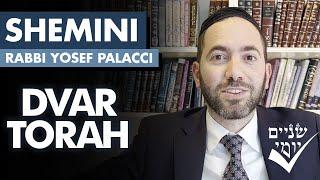 Shnayim Yomi - Shemini - D'var Torah