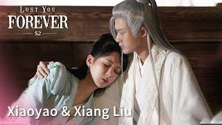 【杨紫檀健次】纯享版：”夭柳“感情线 | 长相思 第二季 Lost You Forever S2