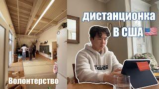 Волонтерство и дистанционка в Америке | программа FLEX | VLOG#4