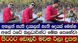 පිටරට ඩොලර් මවන රිලා දූපත - අපේ රටේ බලධාරීන්ට මේක පෙනේවා - අහලත් නැති දැකලත් නැති දෙයක් මෙන්න