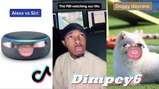 Funny Dimpey6 TikTok 2022 | Best Dimpey6 TikToks of 2022