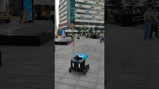 Moscow city - Yandex Food Delivery Robots.