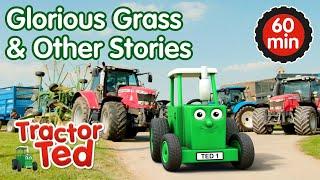 Glorious Grass & Other Tractor Ted Stories  | Tractor Ted Compilation | Tractor Ted Official