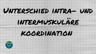 Unterschied Intra- und Intermusküläre Koordination | Sport Additum | Sport LK