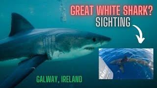 IS THIS A GREAT WHITE SHARK FILMED IN IRELAND THIS WEEK!  