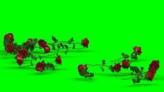 Falling Roses Red No.1 HD Animation - green screen effect & overlay