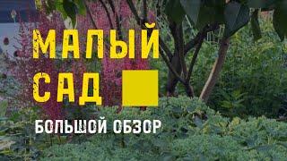 Как сделать малый сад стильно? Непрерывное цветение и заполняющие цветники  #красивыйсад #дача #сад