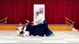 EMBU | Mário Černý 6. Dan Aikikai, Shidoin | 20. výročie Aikido Dojo Suchdol nad Odrou