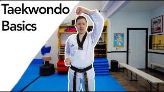 Taekwondo White Belt Basics