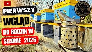 Pierwszy wgląd do rodzin w sezonie 2025 - Pasieka SeBee