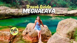 Meghalaya ️ Unleashed: A 10-Day ️ Ultimate Travel Guide &  Budget! 