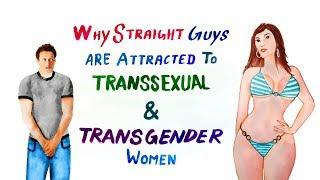 TRANSGENDER & TRANSSEXUAL WOMEN ATTRACTING STRAIGHT GUYS...️‍️