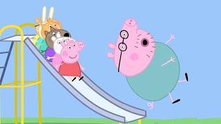 小猪佩奇 | 精选合集 | 1小时| 猪爸爸的大肚子 |粉红猪小妹|Peppa Pig|动画