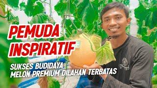 Lokal Tak Gentar!!! Sukses Budidaya Melon Premium Dengan Lahan yang Terbatas