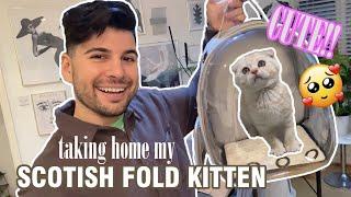 I got a SCOTTISH FOLD Kitten! Taking him home and kitten essentials! | Nas Ganev