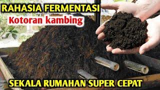 Cukup satu Biji KOHE KAMBING Hancur lebur Cara fermentasi kotoran kambing