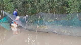 Người Miền Tây Bắt Cá Dưới Sông Thật Sáng Tạo | Hữu Ròm TV