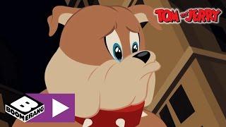 Tom & Jerry | Spike Crying | Boomerang UK