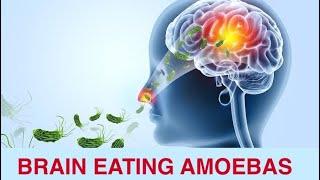 BRAIN EATING AMOEBA  | KERALA | STAY SAFE | TAMIL | @gowtham-mani