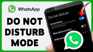 How To Put Do Not Disturb Mode On WhatsApp 2024 | WhatsApp DND Mode Tutorial