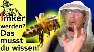 Bienen halten für Anfänger: Tipps für Imker-Neulinge - die wichtigsten Antworten auf eure Fragen