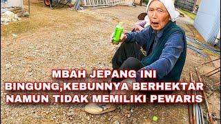 BANTUIN MBAH JEPANG,KASIAN UDAH TUA GAK PUNYA PEWARIS,PADAHAL KEBUNNYA RATUSAN HEKTAR