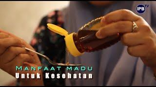 Manfaat Madu untuk Kesehatan