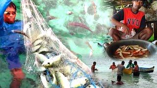 Post-Hurricane.! Fishermen Harvest Thousands of Fish on the Beach | catching fish and cooking