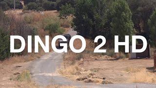 DINGO 2 HD: Mission-proven, highly protected, highly mobile support vehicle