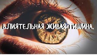 (Сурдо) 12-урок Курс СОЗЕРЦАТЕЛЬНОЙ ЖИЗНИ. ВЛИЯТЕЛЬНАЯ ЖИВАЯ ТИШИНА. Андрей Яковишин