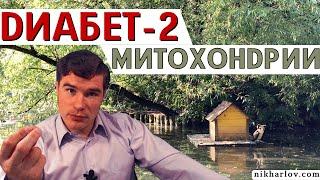 Митохондрии и Диабет 2 типа. Старые таблетки снижают сахар крови, а механизмы и последствия разные.