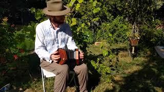 Reb Dovidl's Nigun (Klezmer on Anglo concertina)