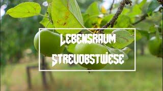 Lebensraum Streuobstwiese | Dokumentarfilm