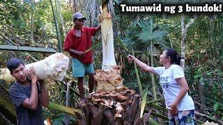 Tumawid ng 3 Bundok para lang Kumuha ng Ubod ng Buli | ANG HIRAP NG DINAANAN NAMIN