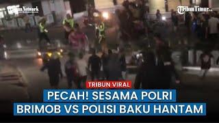 VIRAL Brimob vs Polisi Bentrok di Kota Tual, Jalanan Jadi Tempat Arena Saling Serang