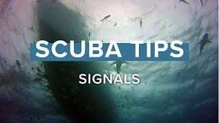 Hand Signals | Top Tips | @simplyscuba