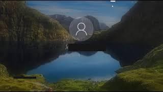 Windows 10 Not allow login flash back to Welcome Screen