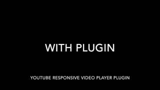 Youtube responsive video player wordpress plugin