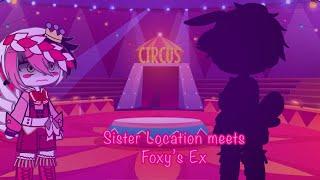 Sister Location meets Foxy’s Ex /  FNaF